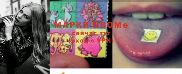 гашик Алексин