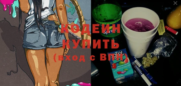 гашик Алексин