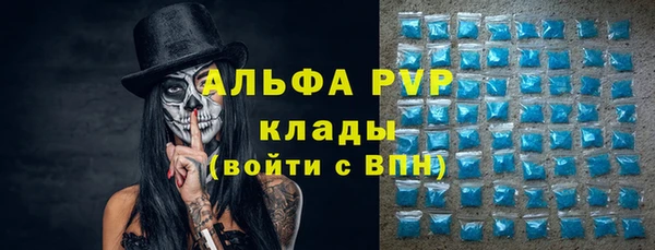 гашик Алексин