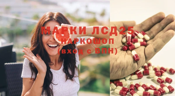 гашик Алексин
